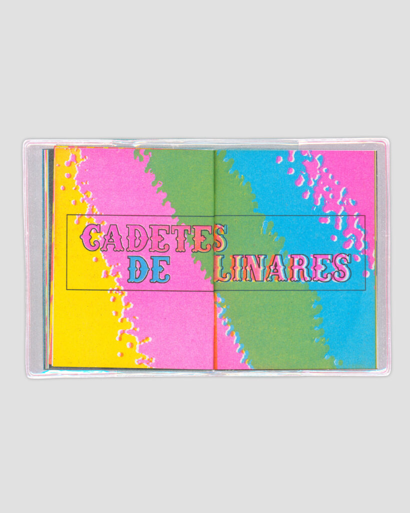 Música Regional Mexa